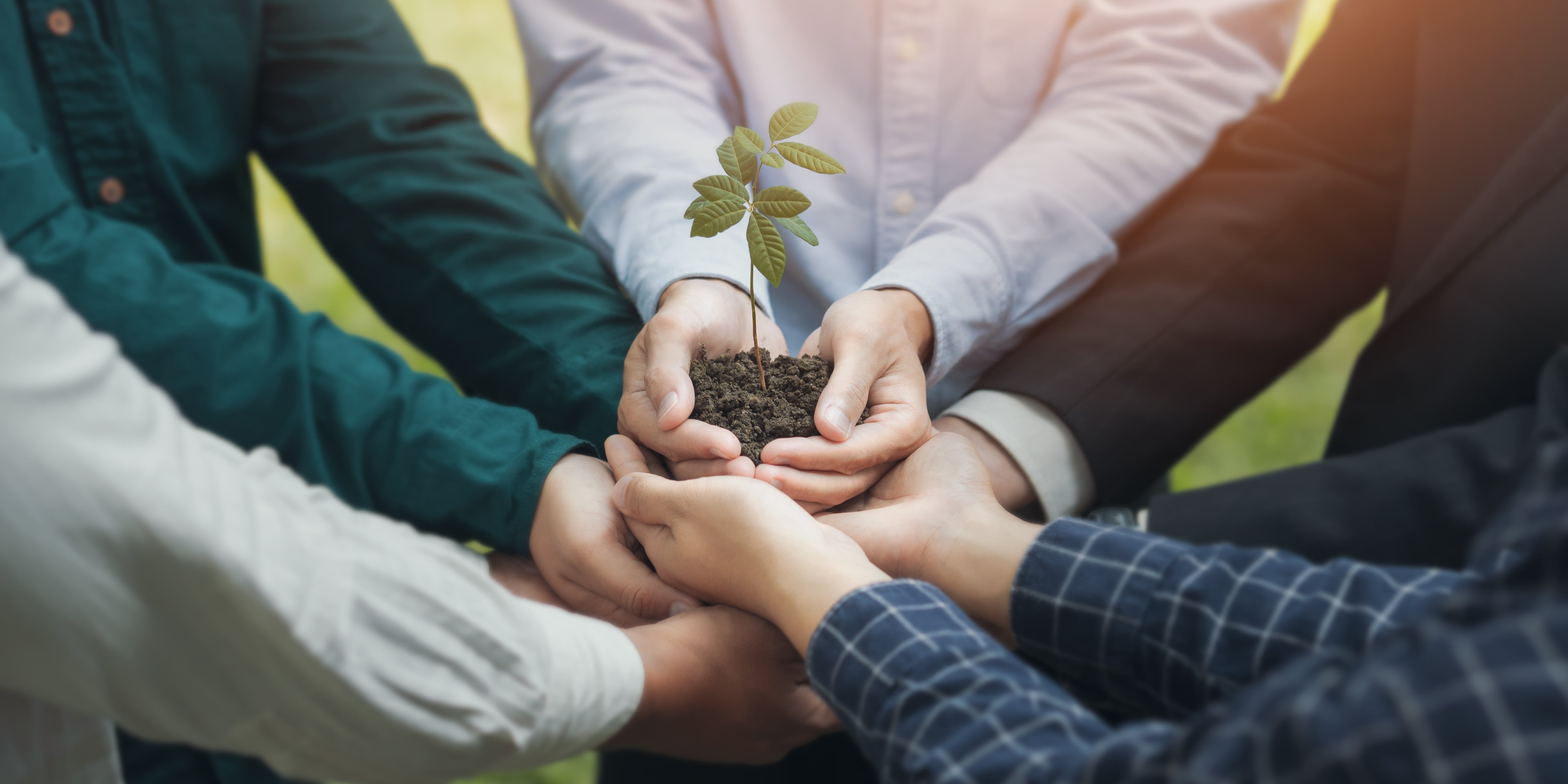 The entrepreneur’s toolkit: 3 ways to nurture sustainability in the workplace